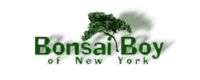 Bonsai Boy of New York Code